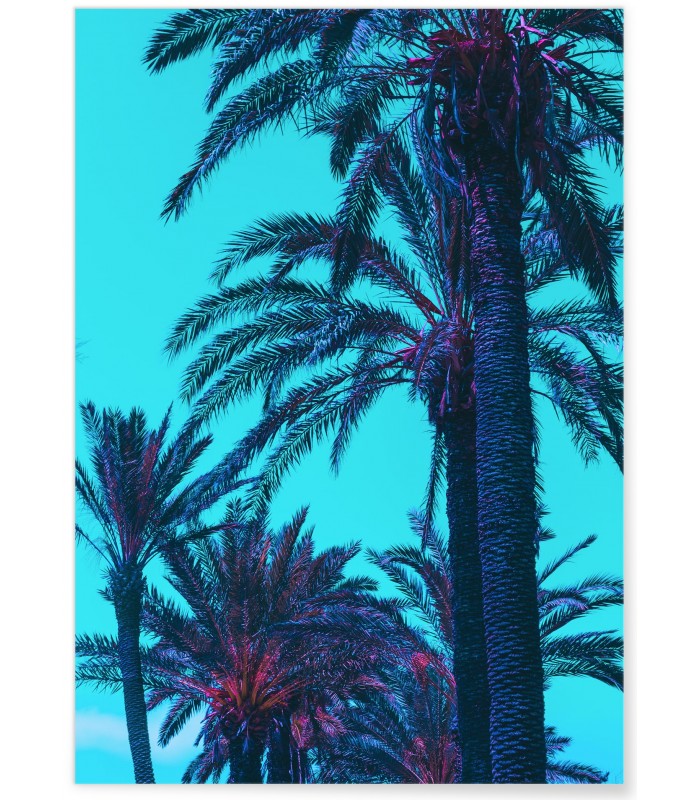 Affiche Palm Trees