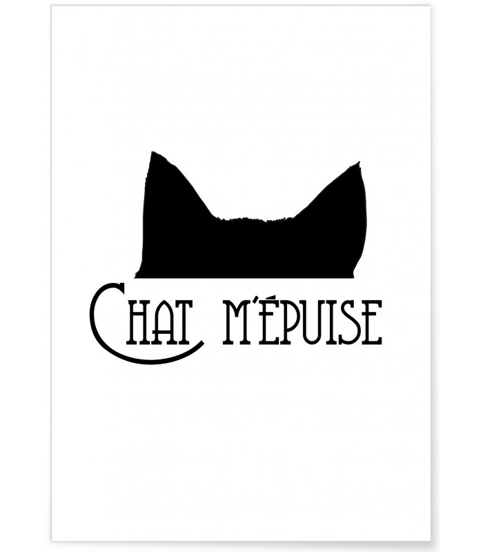 Affiche "Chat m'épuise"