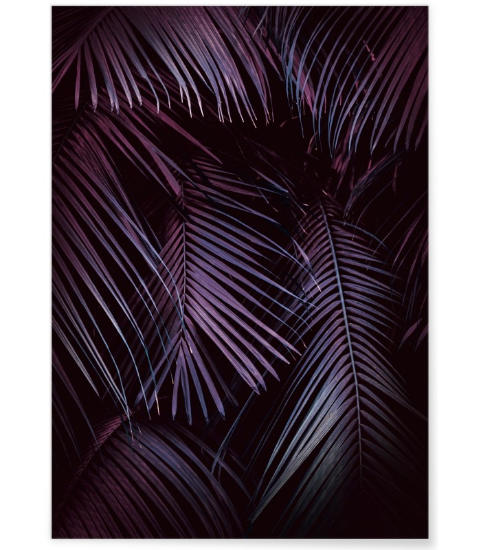 Affiche Feuilles de palmier tropical sombre